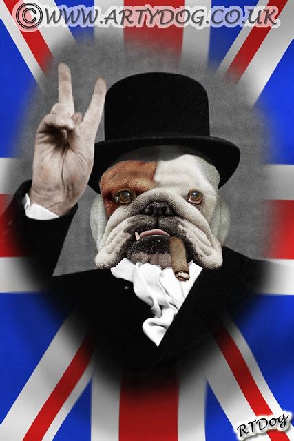 Churchill Bulldog Art Portrait A Photo On Flickriver