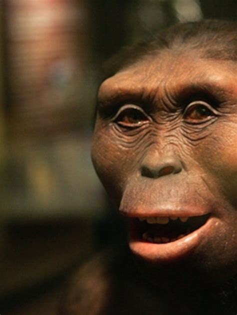 Early Humans Lucy
