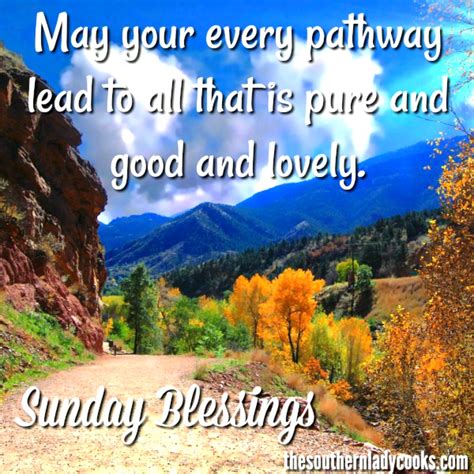 SUNDAY BLESSINGS - The Southern Lady Cooks
