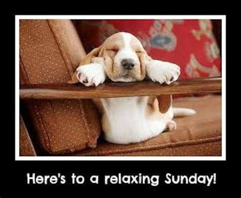 Heres To A Relaxing Sunday Pictures Photos And Images For Facebook