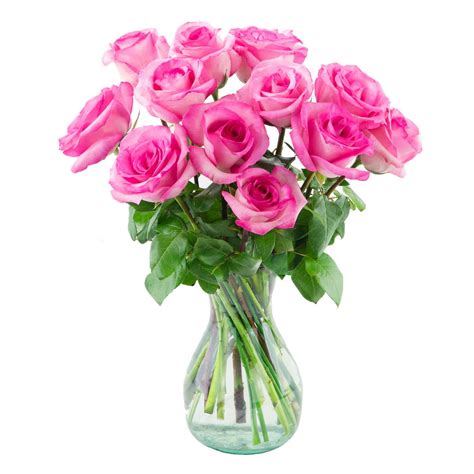 Arabella Bouquets Farm Direct Bouquet Of 12 Fresh Cut Pink Roses In A
