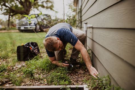 Termite Inspections Explained | Dooley Home Inspection