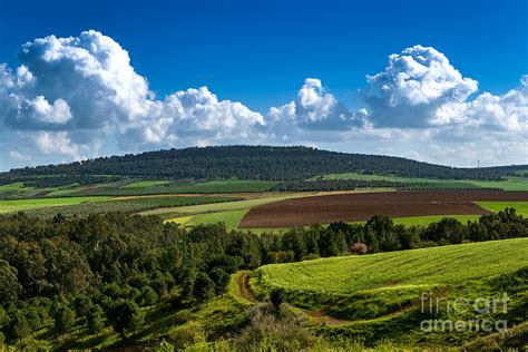 Israel Landscape Galilee Photograph By Nir Ben Yosef Fine Art America