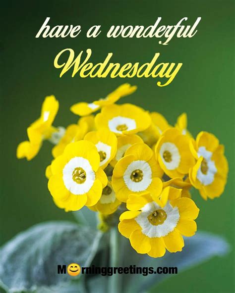 Wonderful Wednesday Quotes Wishes Pics Morning Greetings Morning Wishes
