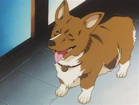 Our Top 4 Best Anime Pets Rice Digital