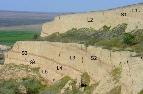 Loess paleosoil sequence at Mircea Vodă For scale note the person