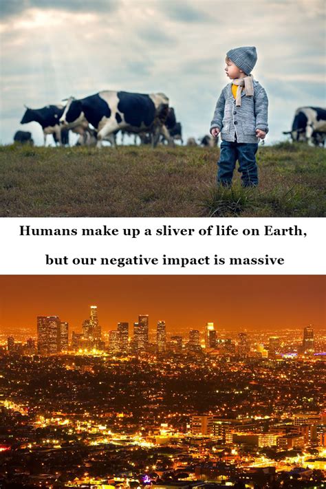 Humans Make Up A Sliver Of Life On Earth But Our Negative Impact Is