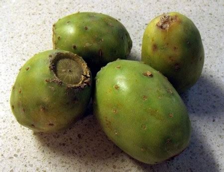 Plus, it's very low in calories and sugars. Yvonne's Blog: How to Eat Cactus Fruit (Tunas)