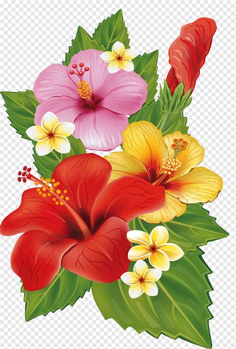 Hibiscus Flowers Illustration Flower Bouquet Decorative Arts Tropical