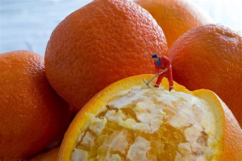 Peeling An Orange Photograph By Sandi Kroll Fine Art America