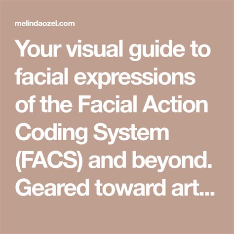 Your Visual Guide To Facial Expressions Of The Facial Action Coding