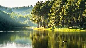 Calm, River, Between, Forest, With, Reflection, Hd, Nature