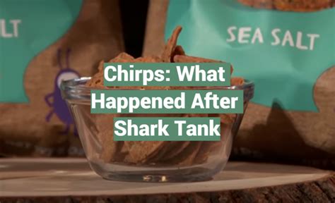 Chirps What Happened After Shark Tank Sharktankwiki