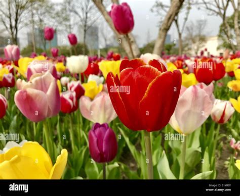 Spring Is Here Stock Photo Alamy
