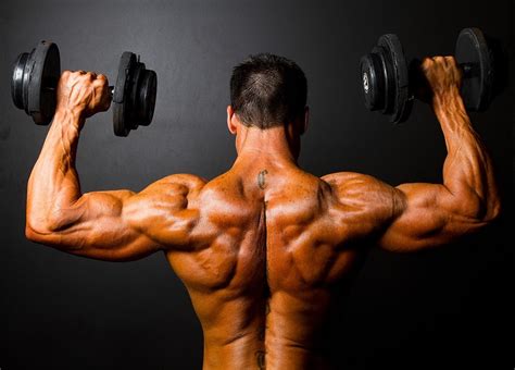 5 Best Testosterone Boosters For Muscle Gain Paid Content St Louis