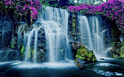 Waterfall In Hawaii Hd Wallpaper Background Image