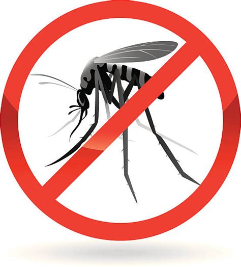Smashed Mosquito Illustrations Royalty Free Vector Graphics And Clip Art