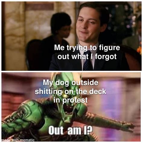 How'd that get in there : r/raimimemes