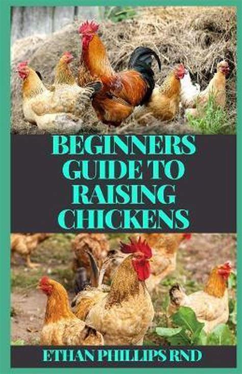 beginners guide to raising chickens ethan phillips rnd 9798683658342 boeken