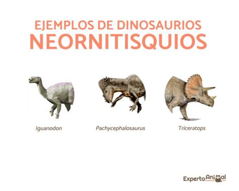 Tipos De Dinosaurios Que Existieron Características Nombres Y Fotos