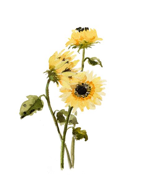 It may possibly be also fantastic inside wall surface patterns if you just bought a property and hadn't have got to furnish it with something. Sunflower Free Printable and Video