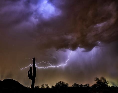 Lightning Wrapped Saguaro Photograph By Saija Lehtonen Pixels