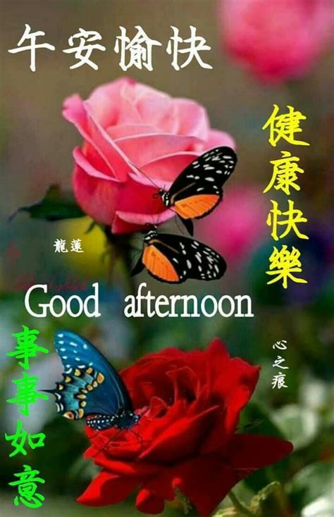 Overall rating of chinese good morning good day gifs images is 4,6. Image by May Chua on Good Afternoon In Chinese | Afternoon ...