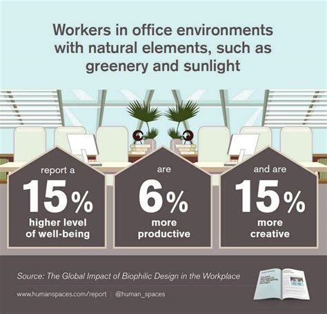 The Global Impact Of Biophilic Design In The Workplace Green Plants
