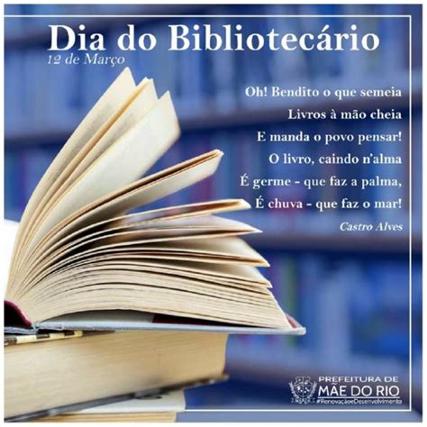 Por Dentro Em Rosa 12 De Março é O Dia Do Bibliotecário Você Sabe