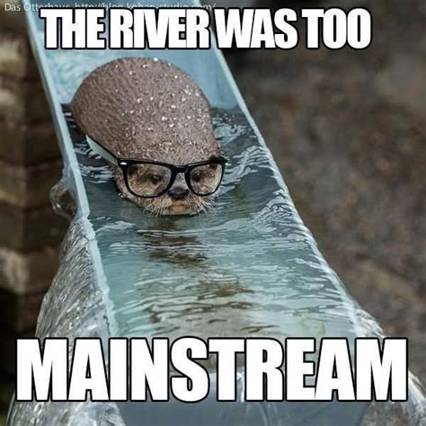 The River Was Too Mainstream Funny Nature Meme Picture Bungalower