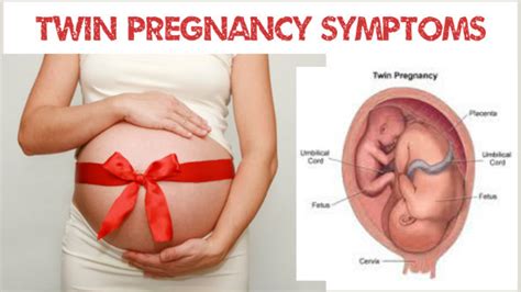 Signs And Symptoms Of Having Twins Pregnancy Related