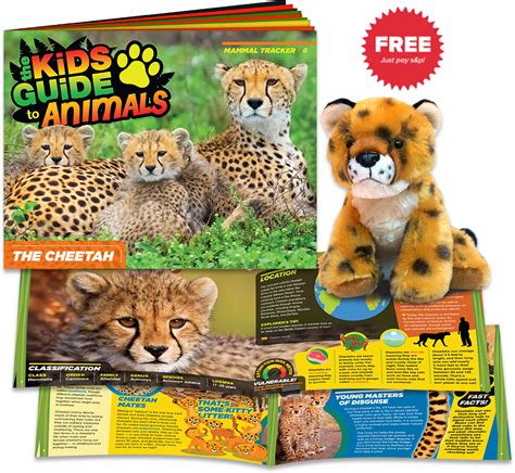 The Cheetah The Kids Guide To Animals