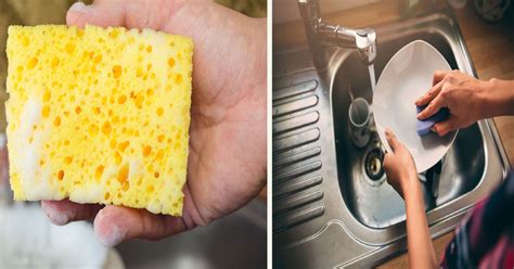 How To Clean Your Kitchen Sponge To Avoid Spreading Germs Small Joys