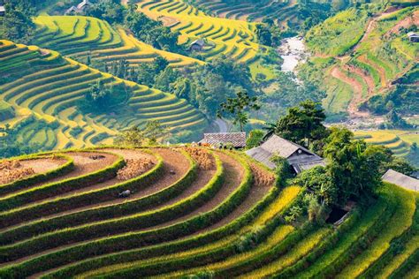 Hoang Su Phi Guide 5 Best Rice Terraces And How To Get There