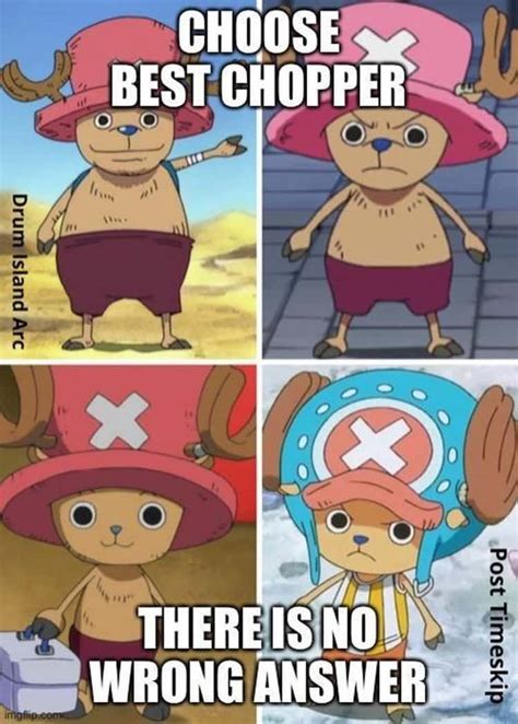 Do People Hate On Chopper In The One Piece Anime And Manga Series If
