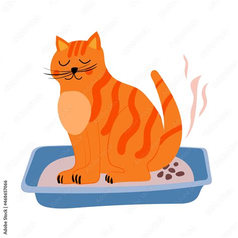 Cute Ginger Cat Pooping In Litter Box Pet Toilet Hygien Illustration