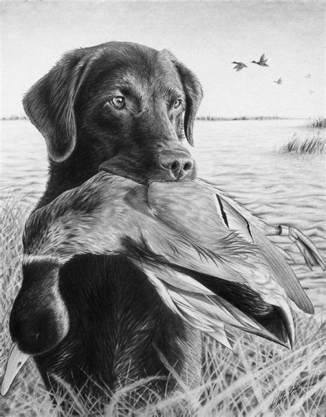 Best 25 Hunting Drawings Ideas On Pinterest Animals Drawing Images