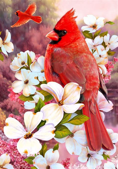 Virginia State Bird And Flower Greg Giordano Cardinal Birds Red Birds