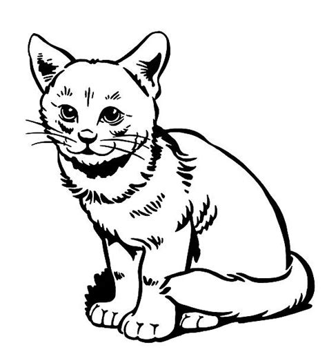 Royalty Free Cat Sitting White Background Clip Art Vector Images And Illustrations Istock