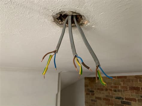 Ceiling Rose Wiring With 5 Cables Shelly Lighting