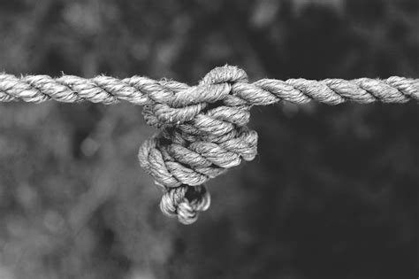 Rope Knot Free Stock Photo Public Domain Pictures