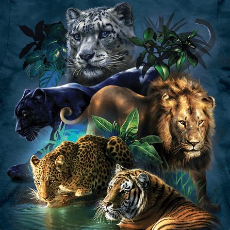 Behind The Artwear Tami Albas Wildlife T Shirts The