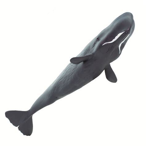 Sperm Whale Safari Ltd Animal Educational Toy Figure Ebay