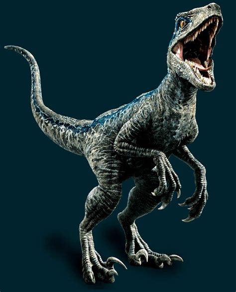 Pin De Mohamed Ali En Jurassic Park Ilustración De Dinosaurios