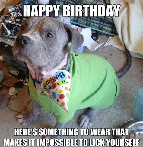 100 Ultimate Funny Happy Birthday Memes Birthday Wishes