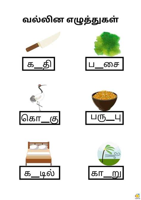 1st Grade Tamil Worksheets For Grade 1 All Primary 1 Tamil Test