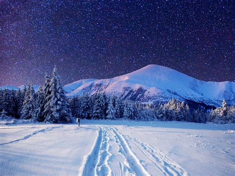 Starry Night Sky Over Winter Forest 4k Ultra Hd Wallpaper