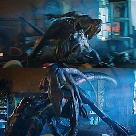 Two Pictures Of Dinosaurs In The Same Scene