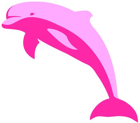 Pink Dolphin Clipart Free Download Transparent Png Creazilla