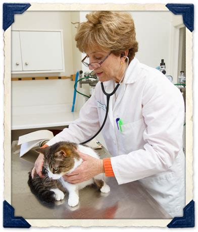 Opened in 1996, petcare veterinary clinic is a full service veterinary clinic, independently owned and operated by dr. Pet Wellness Services at Camino Real Pet Clinic